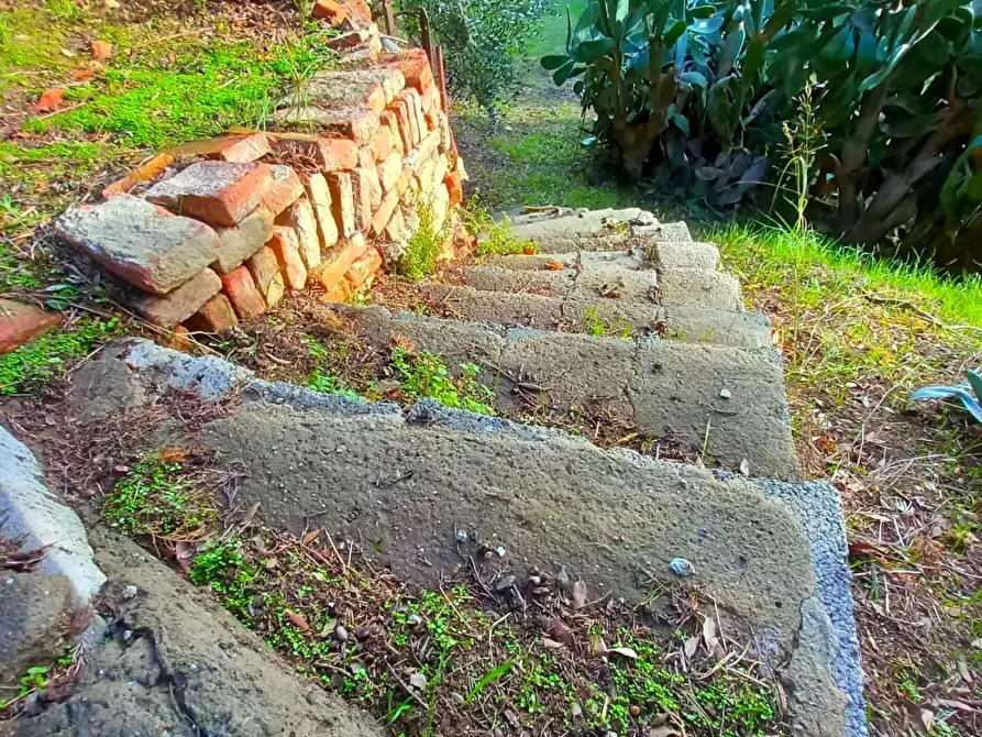 Immagine 45 di Palazzo in vendita  a Pisa