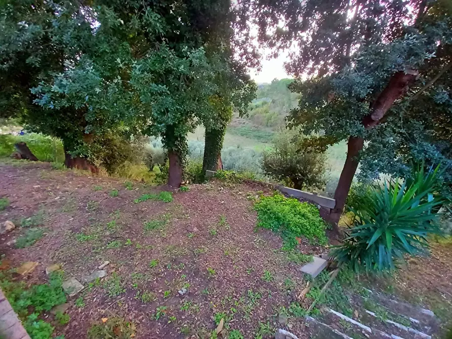 Immagine 49 di Palazzo in vendita  a Pisa