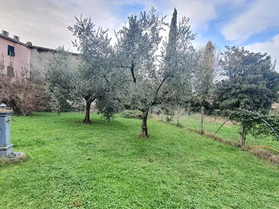 Immagine 41 di Villa in vendita  a Lucca