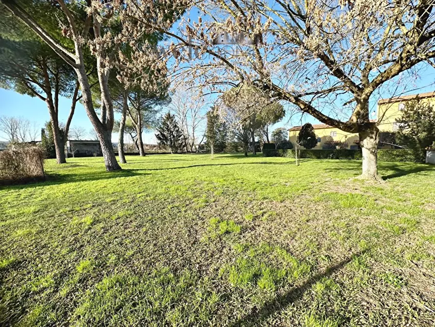 Immagine 29 di Appartamento in vendita  a Campi Bisenzio