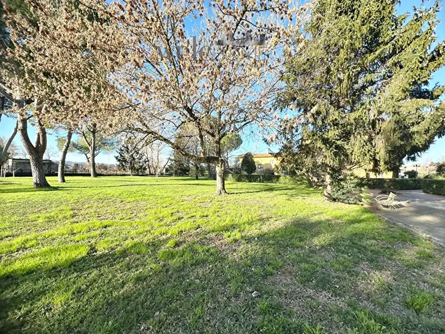 Immagine 17 di Appartamento in vendita  a Campi Bisenzio