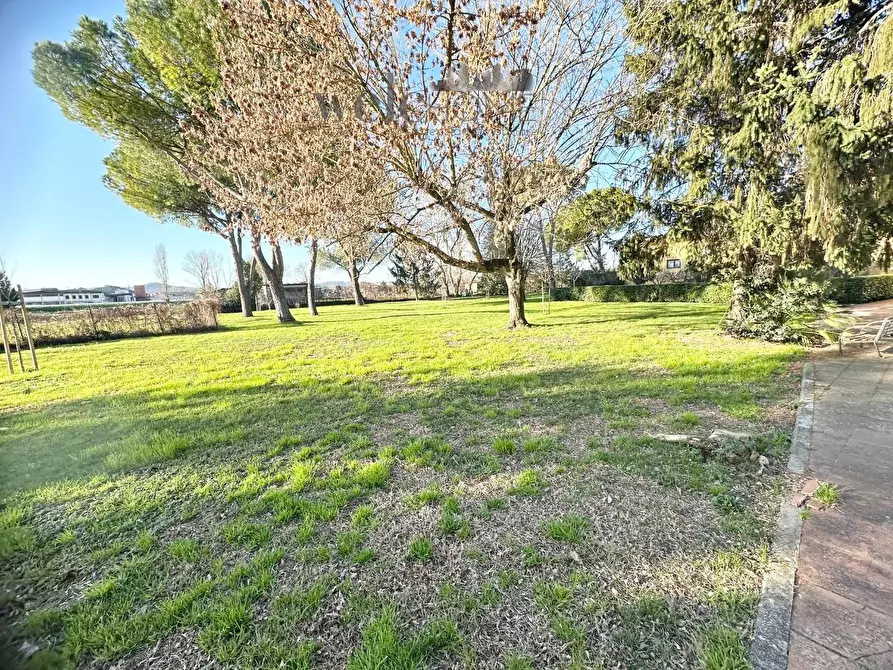 Immagine 16 di Appartamento in vendita  a Campi Bisenzio