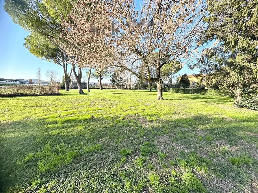 Immagine 28 di Appartamento in vendita  a Campi Bisenzio