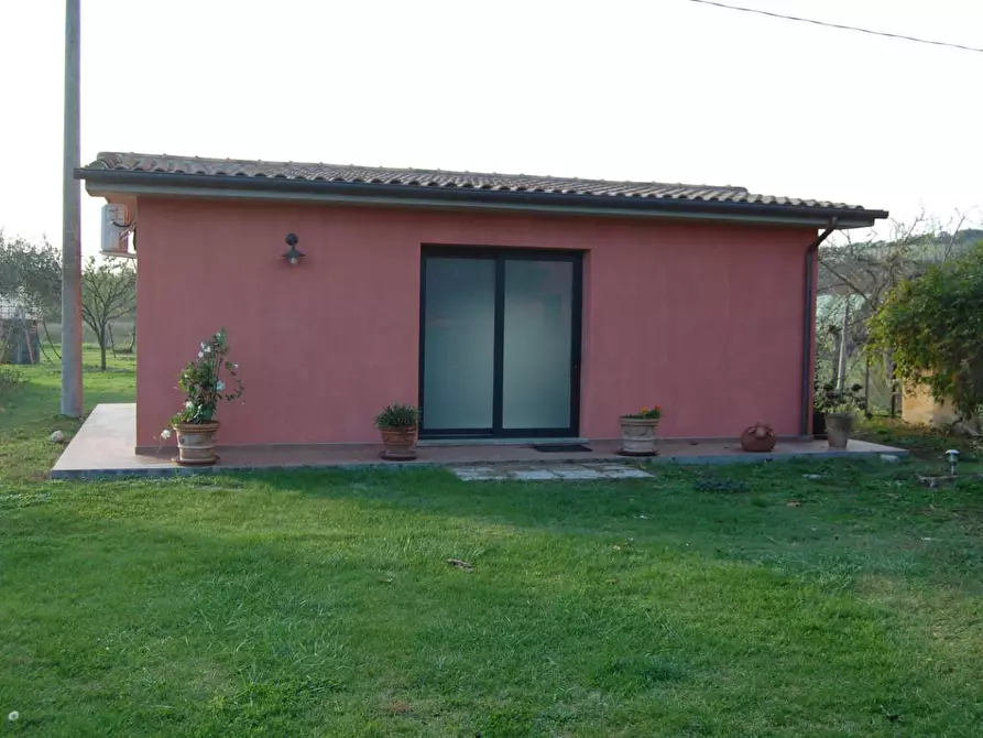 Immagine 15 di Casa colonica in vendita  a Campagnatico