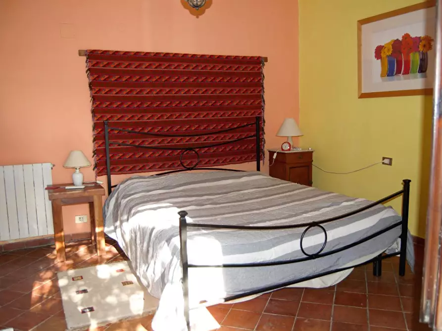 Immagine 7 di Casa colonica in vendita  a Campagnatico