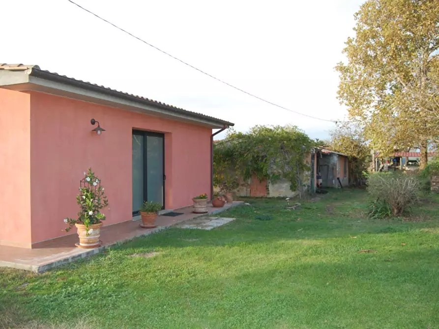 Immagine 16 di Casa colonica in vendita  a Campagnatico
