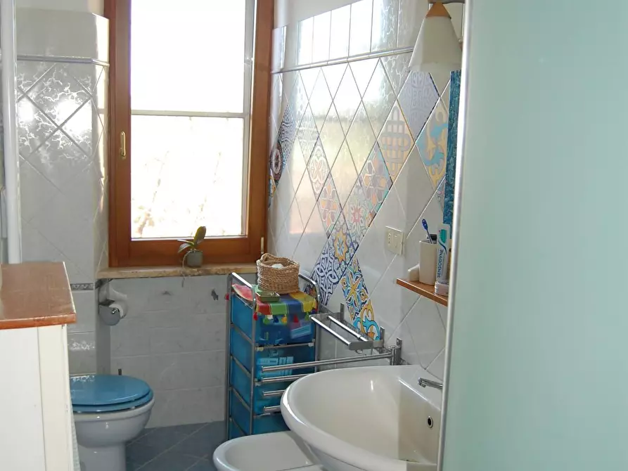 Immagine 9 di Casa colonica in vendita  a Campagnatico