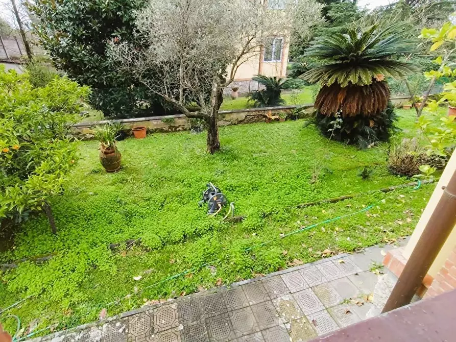 Immagine 6 di Appartamento in vendita  a Massa