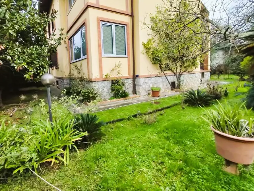 Immagine 3 di Appartamento in vendita  a Massa