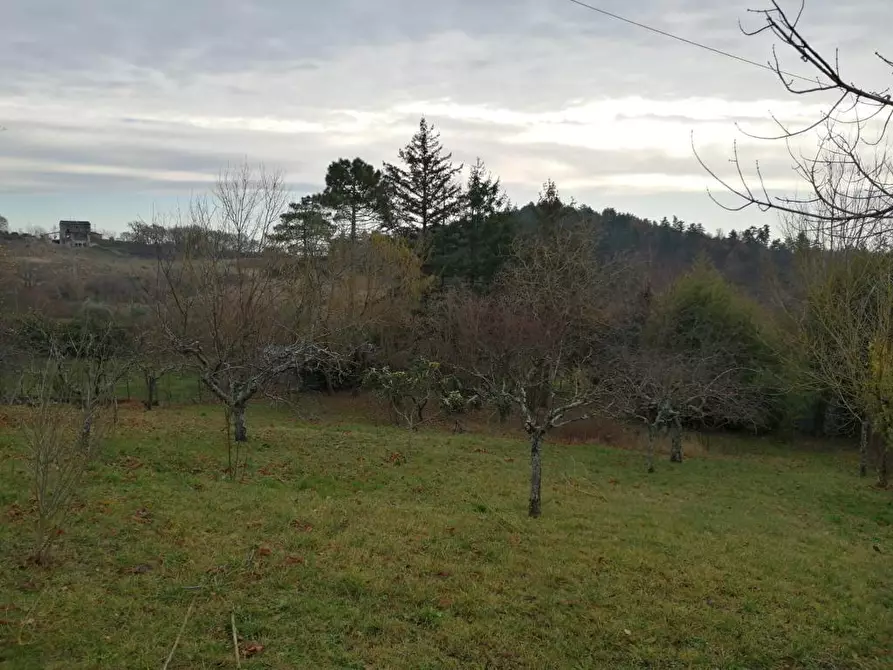 Immagine 4 di Casa indipendente in vendita  a Barberino Di Mugello
