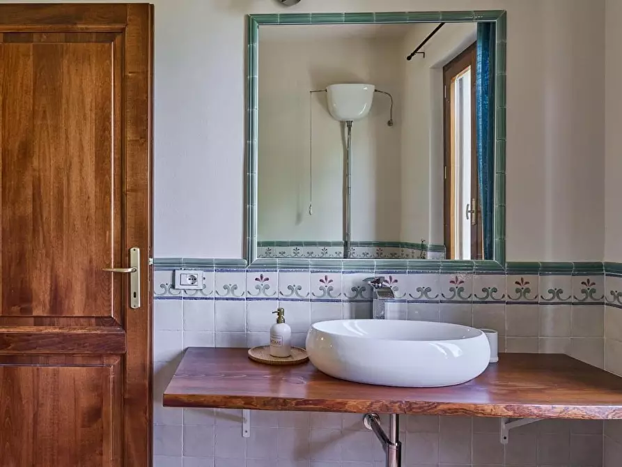 Immagine 22 di Casa colonica in vendita  a Vinci