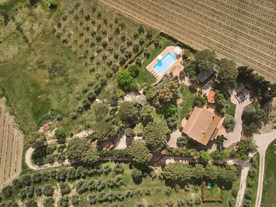 Immagine 5 di Casa colonica in vendita  a Vinci