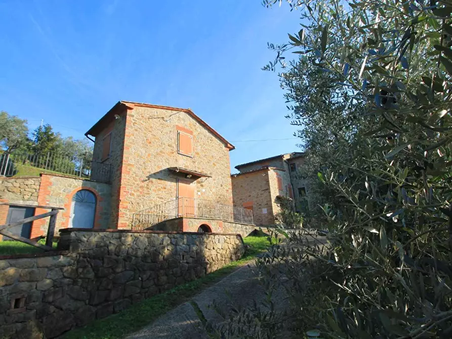 Immagine 24 di Casa colonica in vendita  a Larciano