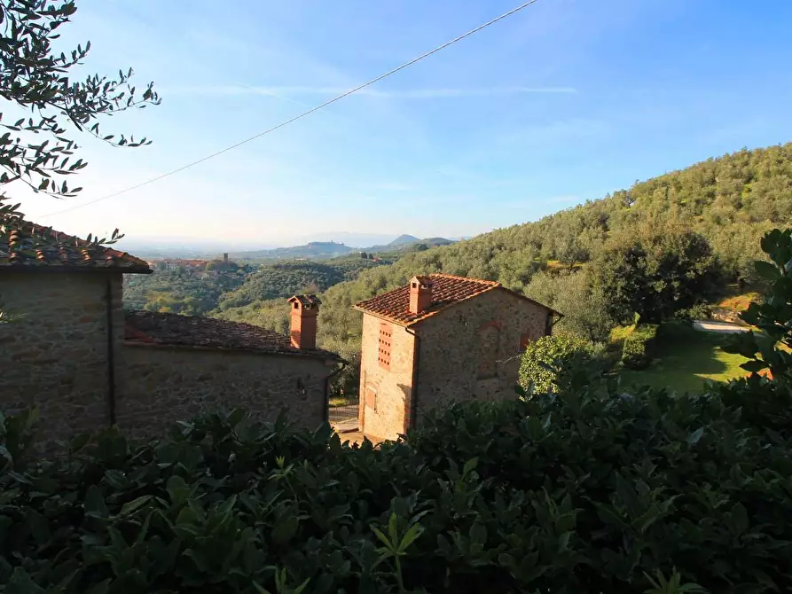 Immagine 26 di Casa colonica in vendita  a Larciano