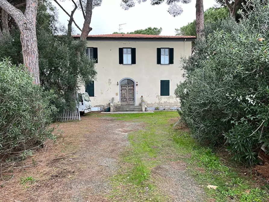 Immagine 6 di Casa colonica in vendita  a Cecina