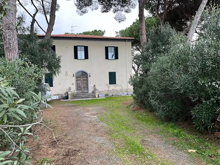 Immagine 3 di Casa colonica in vendita  a Cecina