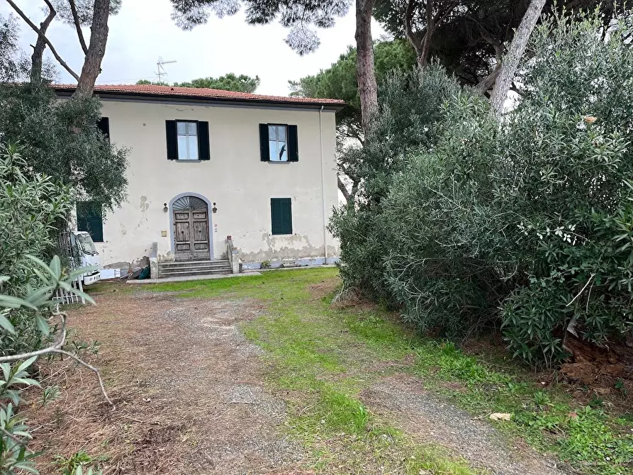 Immagine 4 di Casa colonica in vendita  a Cecina
