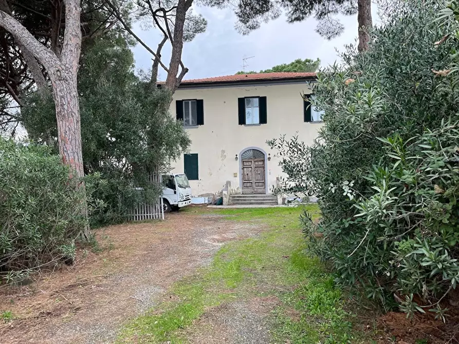 Immagine 2 di Casa colonica in vendita  a Cecina