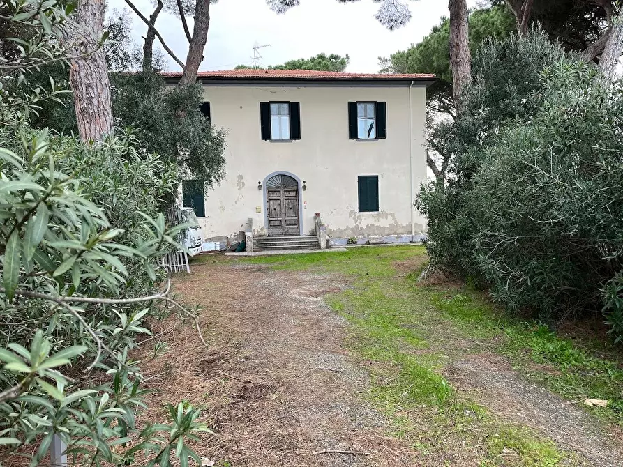 Immagine 5 di Casa colonica in vendita  a Cecina