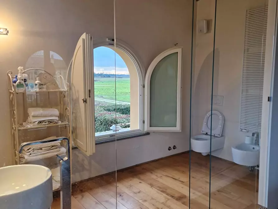 Immagine 7 di Casa colonica in vendita  a San Giuliano Terme