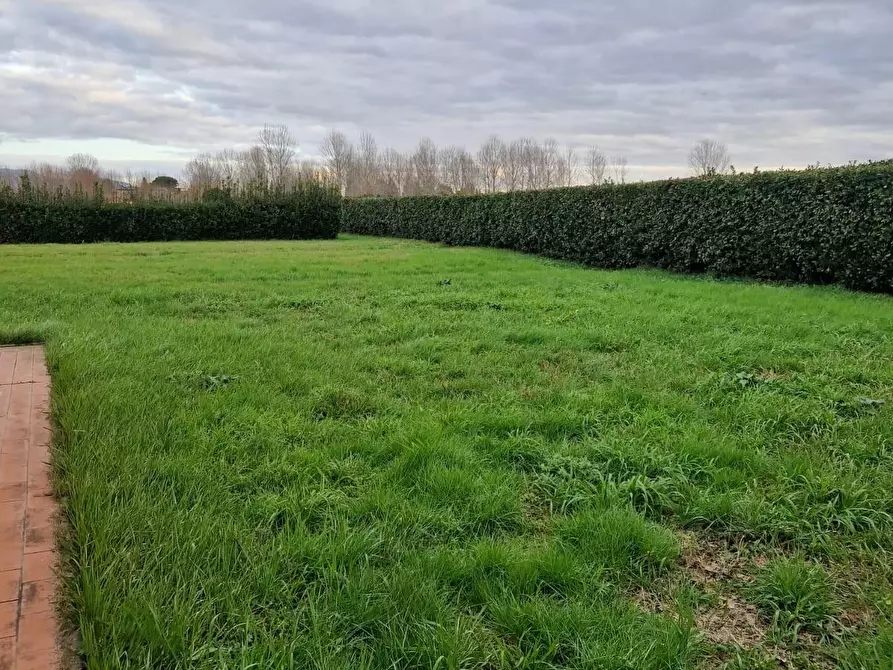 Immagine 35 di Casa colonica in vendita  a San Giuliano Terme