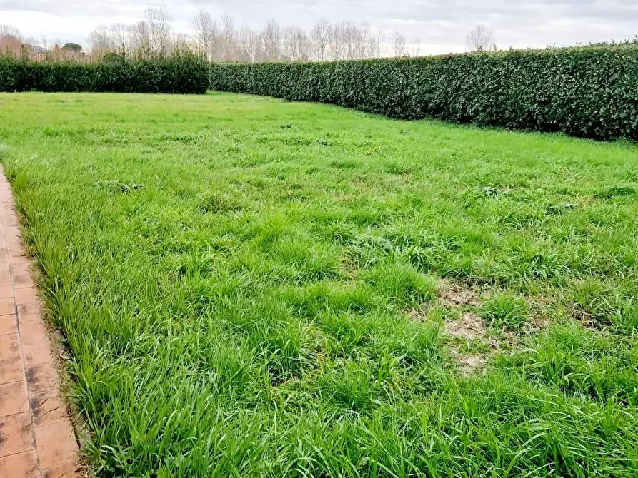 Immagine 37 di Casa colonica in vendita  a San Giuliano Terme