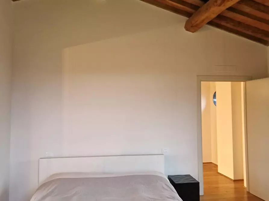 Immagine 25 di Casa colonica in vendita  a San Giuliano Terme