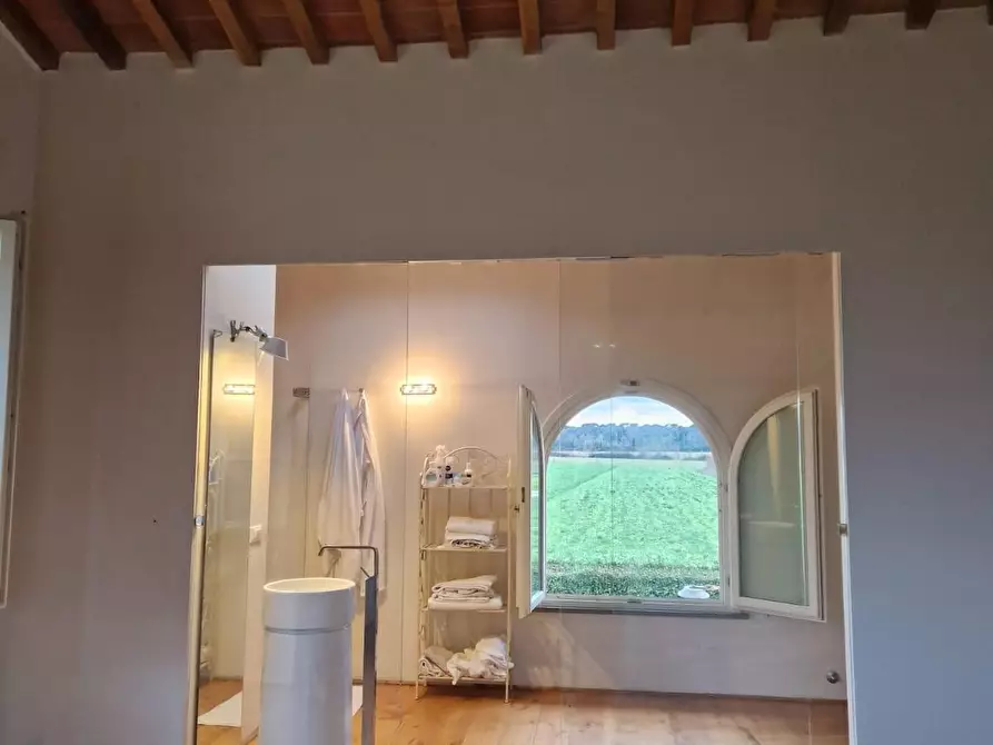 Immagine 18 di Casa colonica in vendita  a San Giuliano Terme