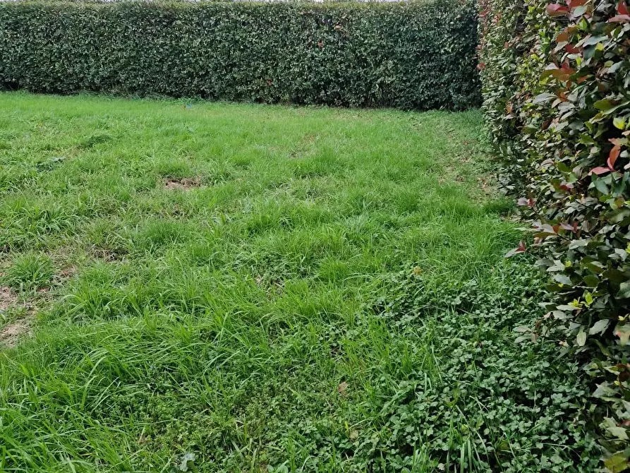 Immagine 36 di Casa colonica in vendita  a San Giuliano Terme