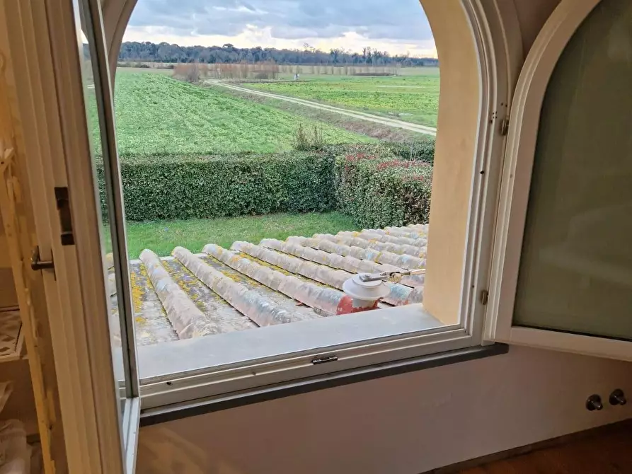 Immagine 27 di Casa colonica in vendita  a San Giuliano Terme