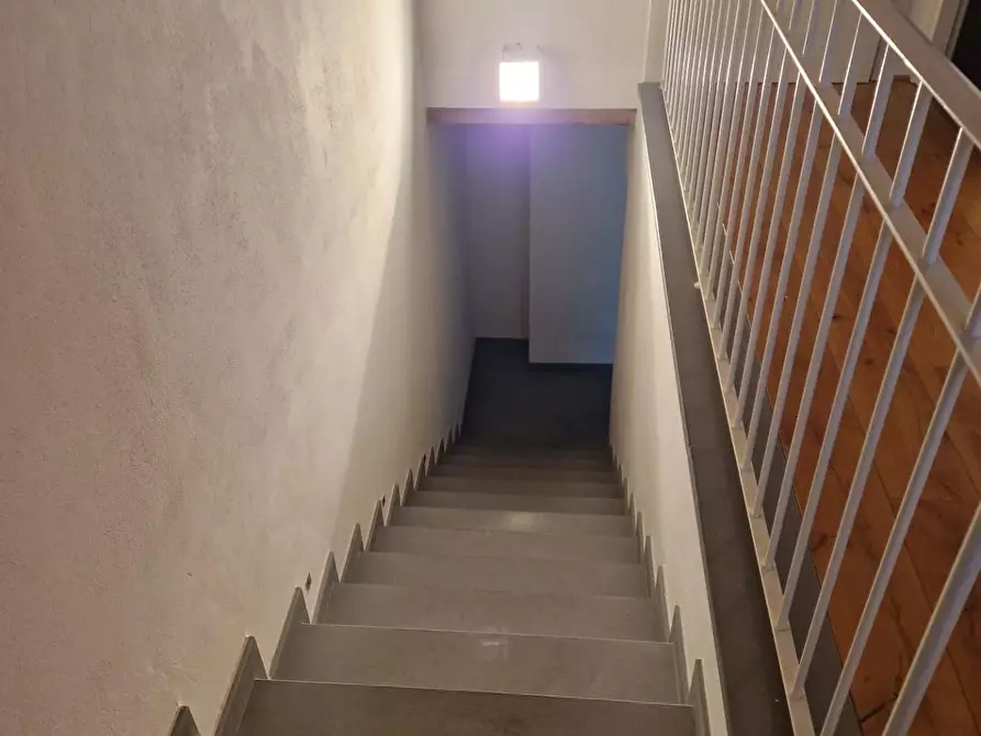 Immagine 29 di Casa colonica in vendita  a San Giuliano Terme