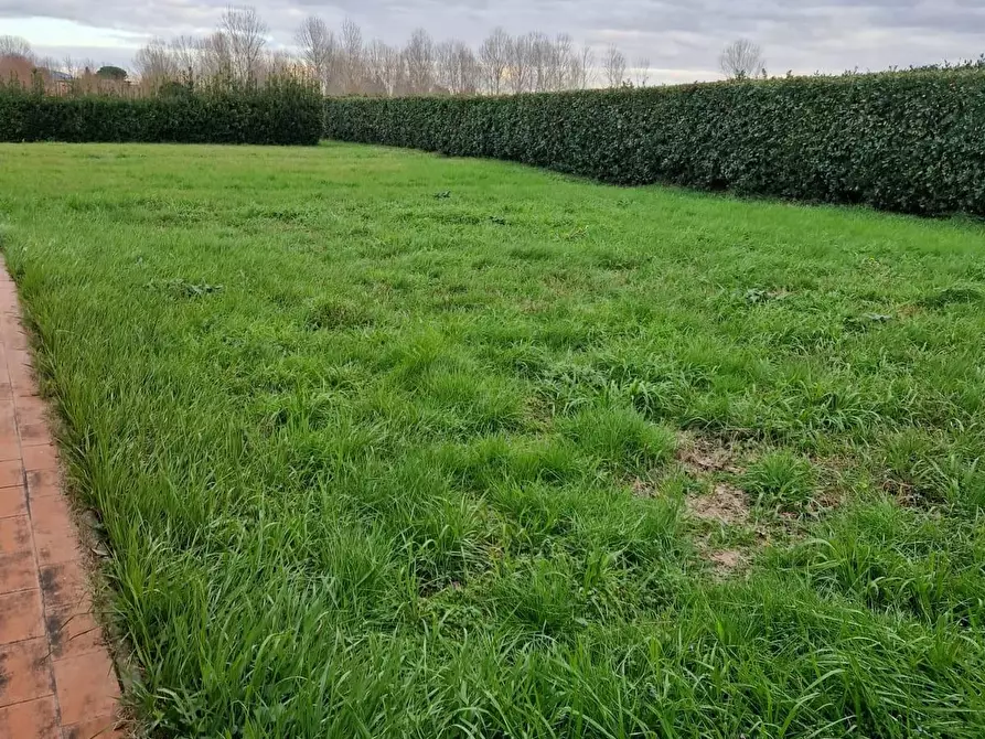 Immagine 34 di Casa colonica in vendita  a San Giuliano Terme