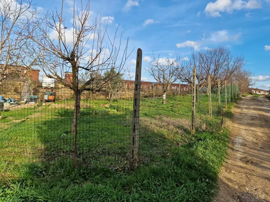 Immagine 2 di Terreno agricolo in vendita  a Crespina Lorenzana