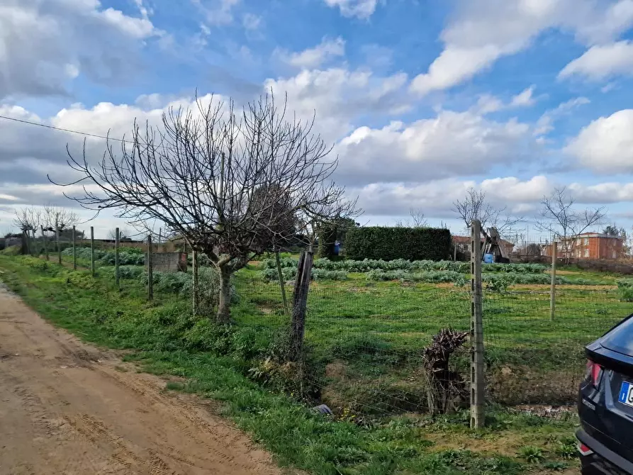Immagine 1 di Terreno agricolo in vendita  a Crespina Lorenzana