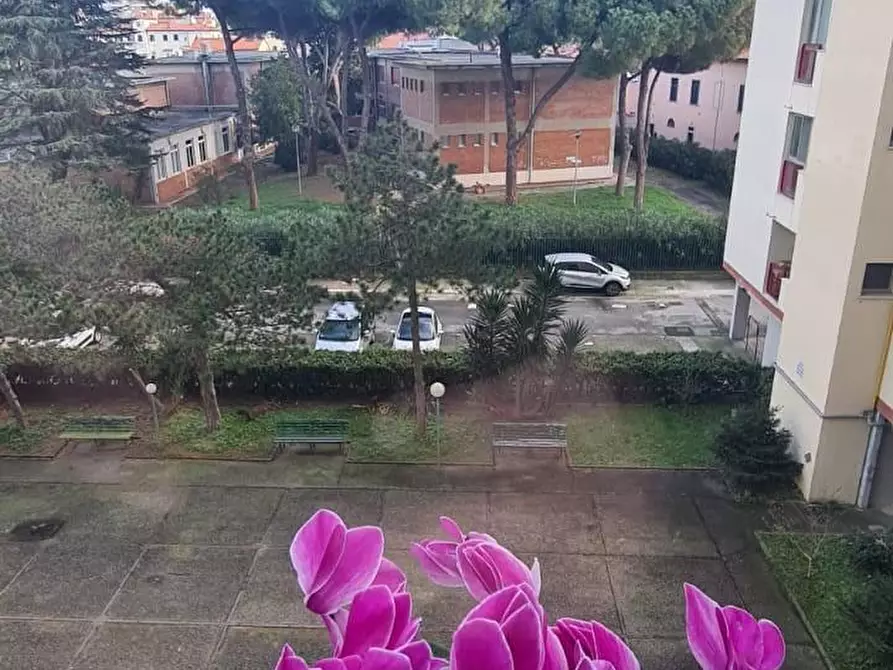 Immagine 21 di Appartamento in affitto  a Livorno