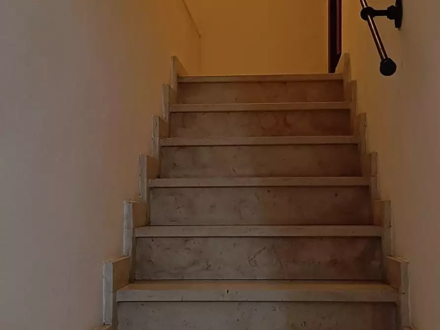 Immagine 9 di Terratetto in affitto  a San Giuliano Terme