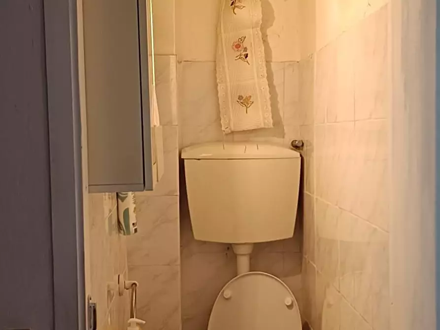 Immagine 12 di Terratetto in affitto  a San Giuliano Terme