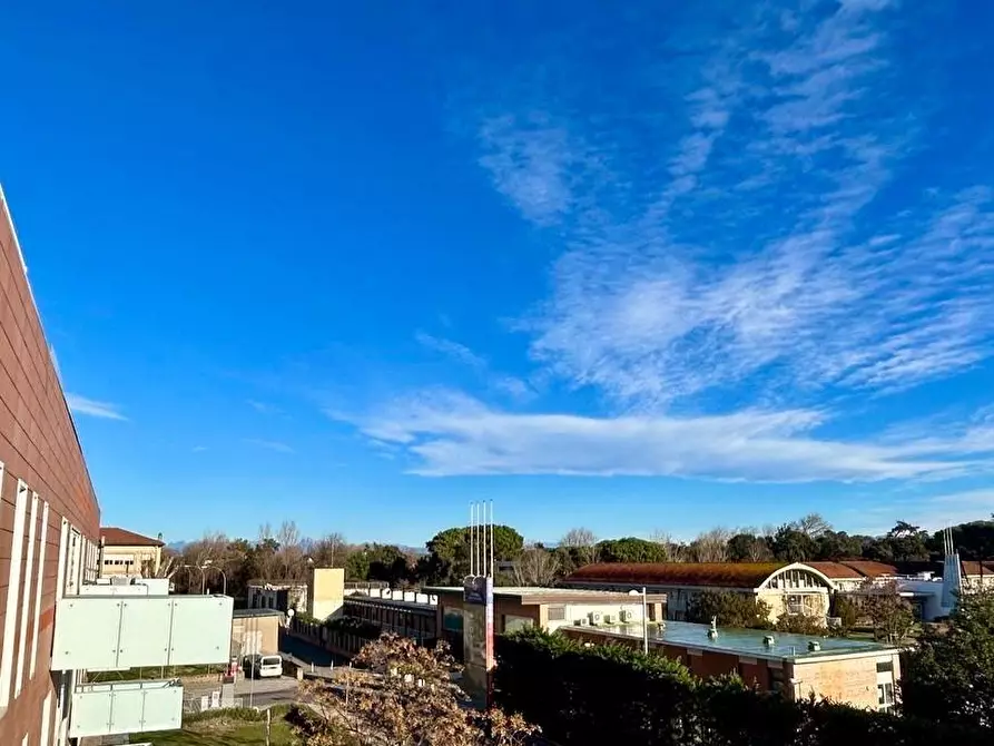 Immagine 7 di Appartamento in vendita  a Pisa