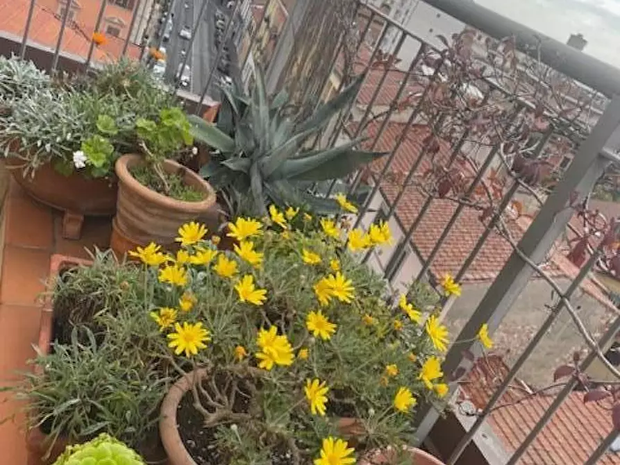 Immagine 3 di Appartamento in vendita  a Pisa