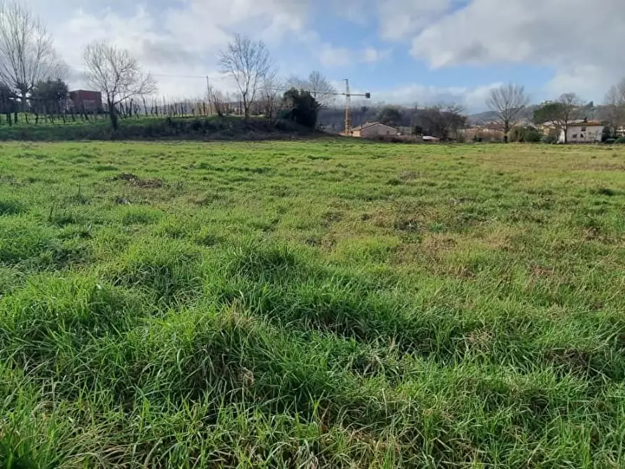 Immagine 8 di Terreno residenziale in vendita  a Fauglia