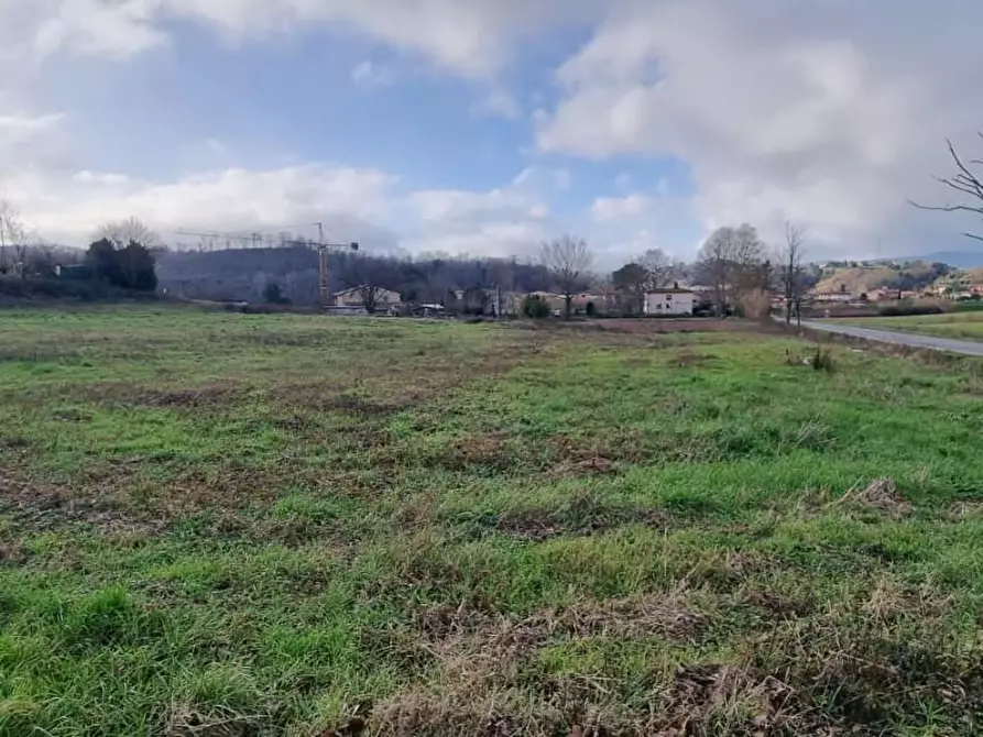 Immagine 2 di Terreno residenziale in vendita  a Fauglia