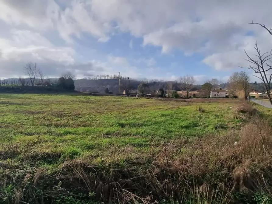 Immagine 6 di Terreno residenziale in vendita  a Fauglia