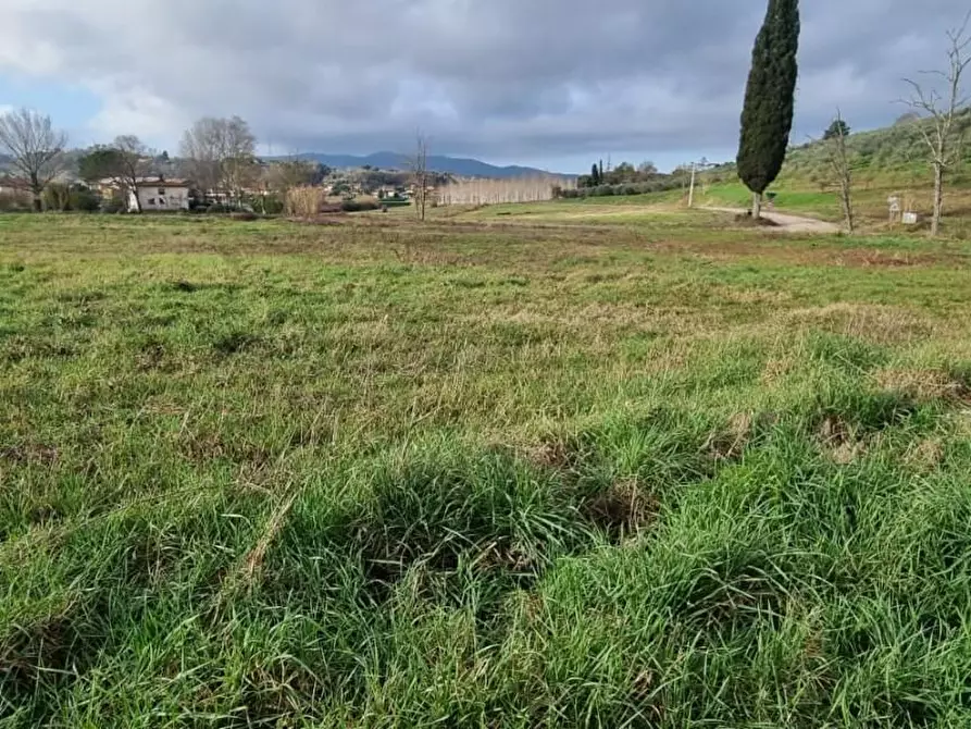 Immagine 7 di Terreno residenziale in vendita  a Fauglia