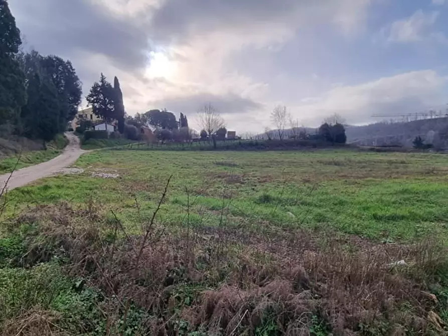 Immagine 4 di Terreno residenziale in vendita  a Fauglia