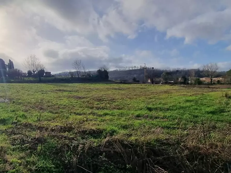 Immagine 3 di Terreno residenziale in vendita  a Fauglia