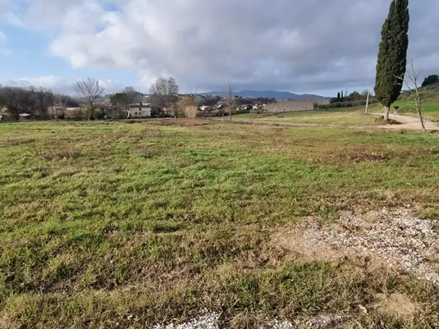 Immagine 5 di Terreno residenziale in vendita  a Fauglia
