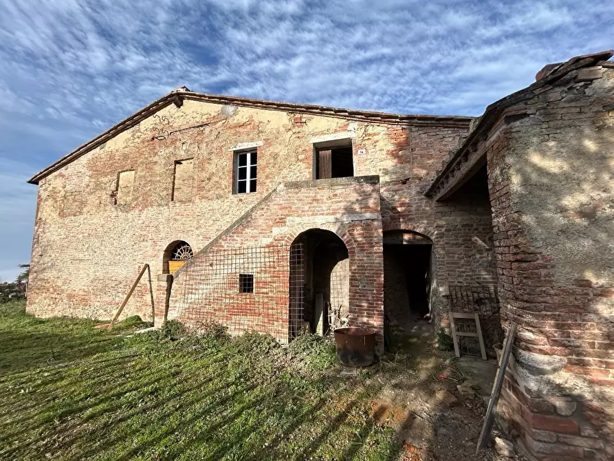 Immagine 1 di Casa colonica in vendita  a Asciano