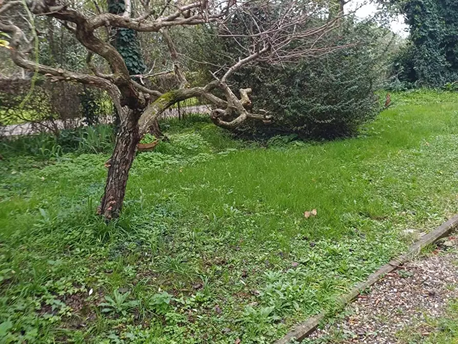 Immagine 15 di Rustico / casale in vendita  a San Giuliano Terme