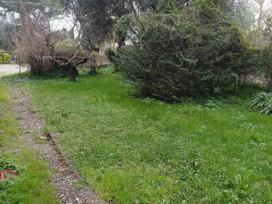 Immagine 16 di Rustico / casale in vendita  a San Giuliano Terme