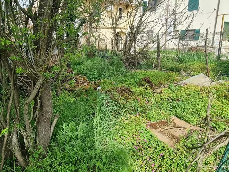 Immagine 6 di Locale commerciale in vendita  a Fauglia